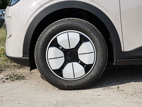 2026�� 310km ������