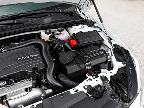 2025�� 25T ������