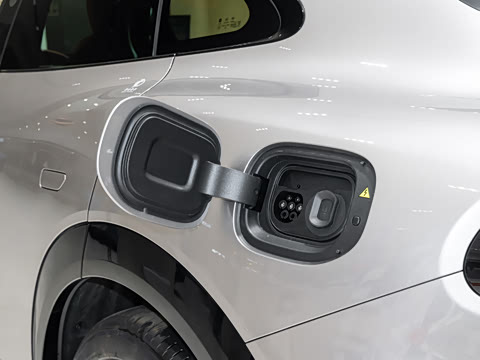 2025�� ������������Pro��