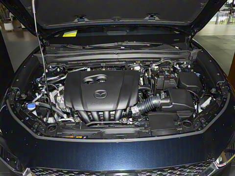 2025�� 2.0L �ֶ�������