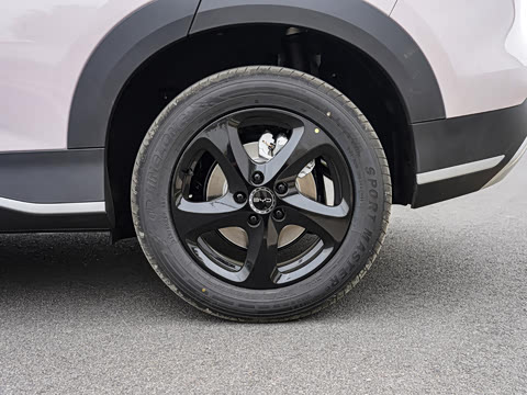 2026�� DM-i 220������