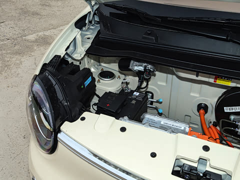 2026�� ����� 301km ������