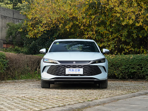 2026�� DM-i 210KM������