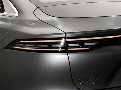 2025�� 260����������