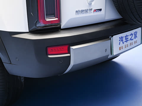 2026�� 255km ������