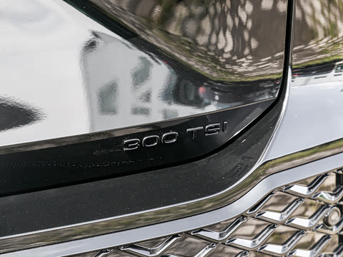 2026�� �Ŀ� ̽��L 300TSI ������ӢCity��