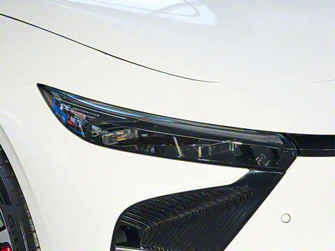 2025�� ���� Plus ��������