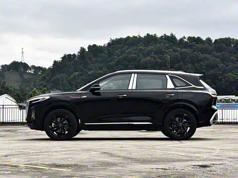 2025�� 125km ��ΪPLUS 200���������