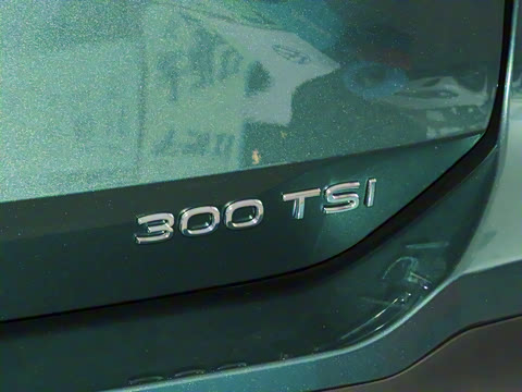 2025�� ̽��L 300TSI ������Ӣ