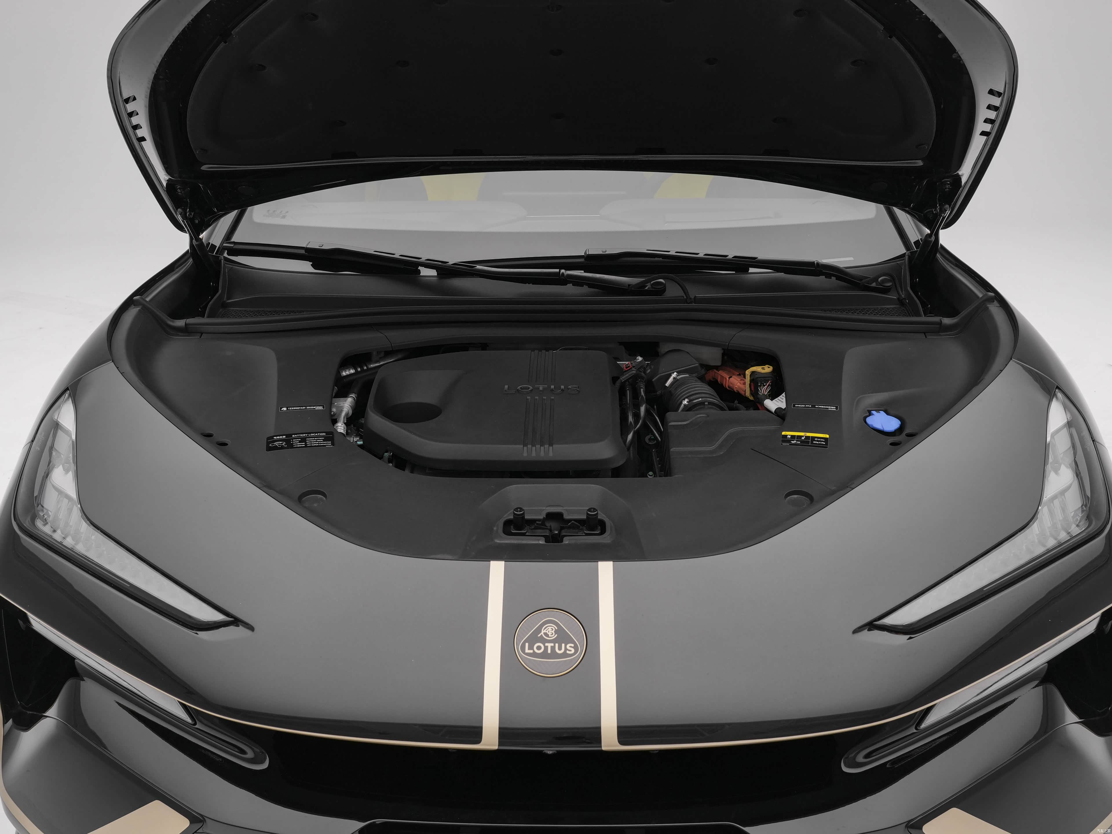 Lotus FOR ME, миниатюра 30