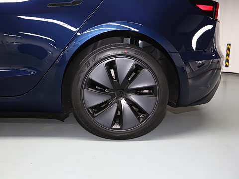 2025�� �Ŀ� ����������