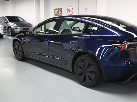 2025�� �Ŀ� ����������