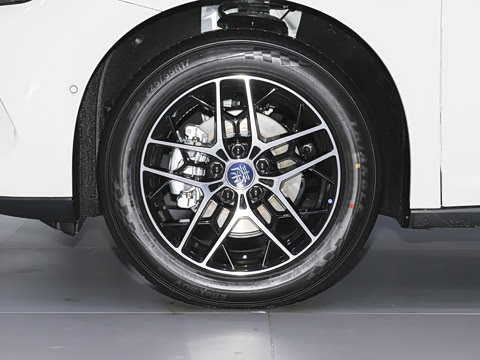 2026�� DM-i 210KM��Խ��