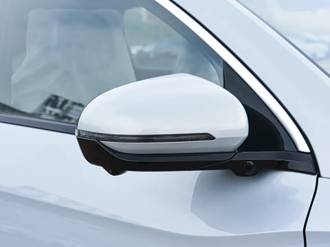 2026�� DM-i 220KM��Խ��