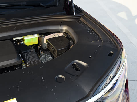 2026�� ���� Max������ 6��