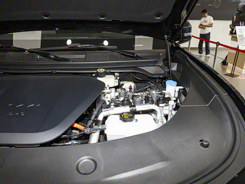 2025�� �����콢�� 5��