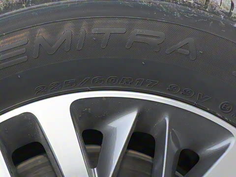 2025�� ½�Ϲ���� ����DG��