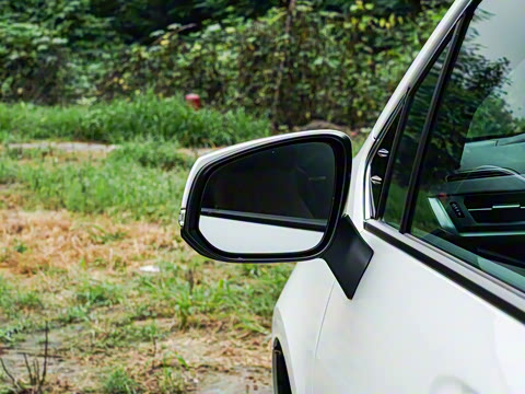 2026�� 2.5L ˫������������