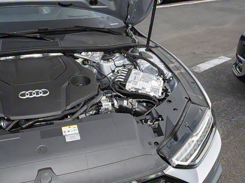 2025�� 55 TFSI quattro ������