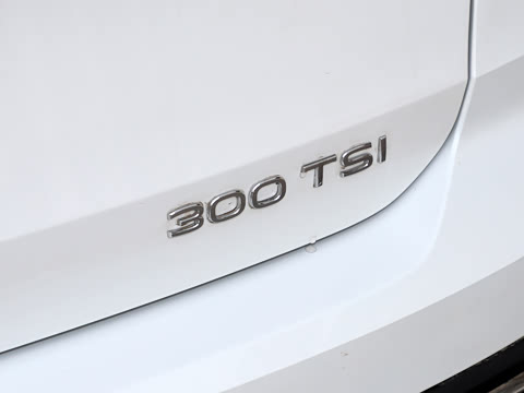 2026�� 300TSI �������°�