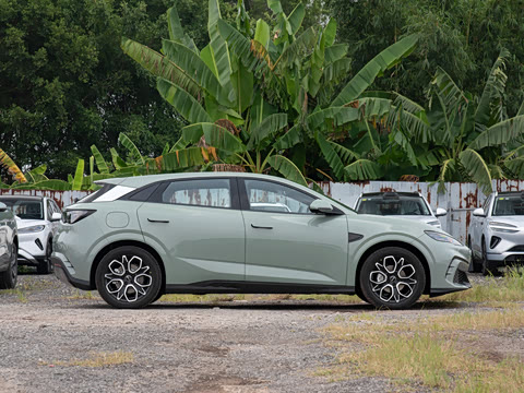 2026�� 520���˰�