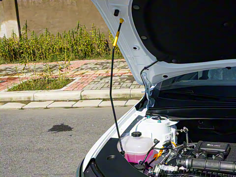 2025�� DM-i �Ǽݰ� 128KM��ȡ��