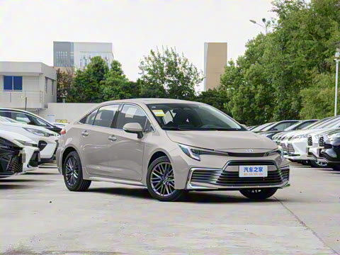 2024�� ���ܵ��˫�� 2.0L ������