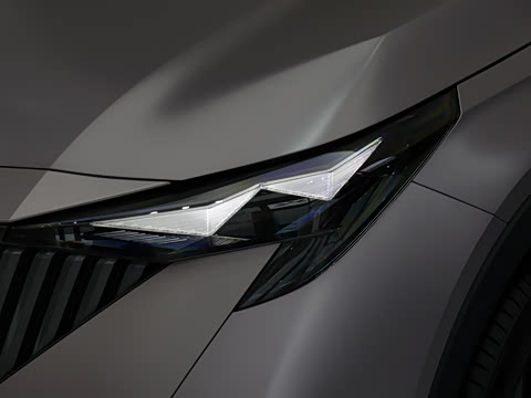 2026�� Ӱ�� 270T ������