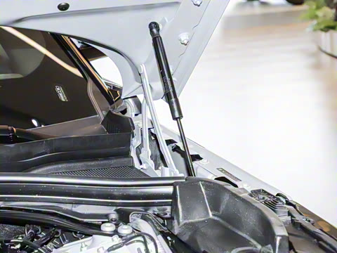 2026�� 250PS Dynamic SE