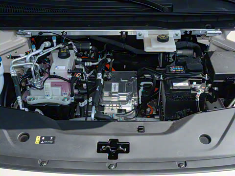 2026�� 520�Ǻ���