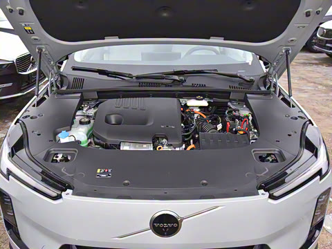 2026�� ������������Plus