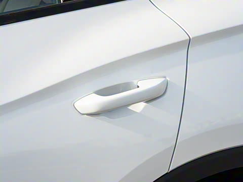 2026�� DM-i 133KM��ȡ��