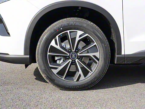 2026�� DM-i 133KM��ȡ��