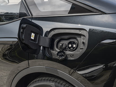 2026�� ������ JOY