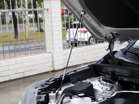 2026�� 2.0L ���ܵ��˫�� PRO