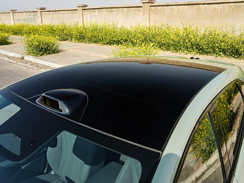 2026�� 620����Max��