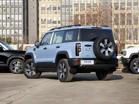 2025�� Ԫ�����а�