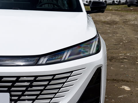 2026�� 1.5L �������� ������