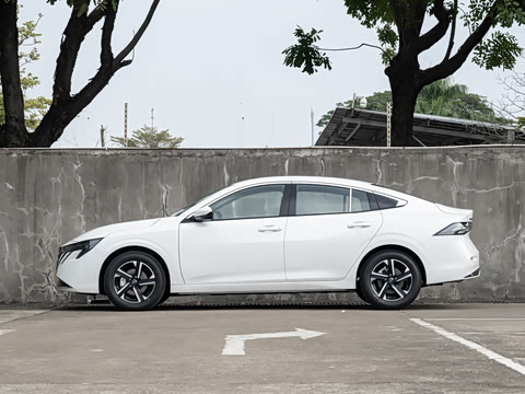 2026�� ������