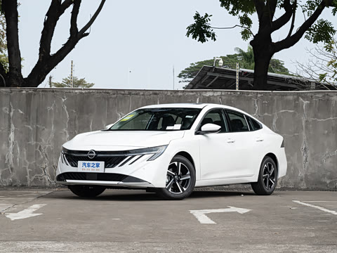 �����ղ� ����