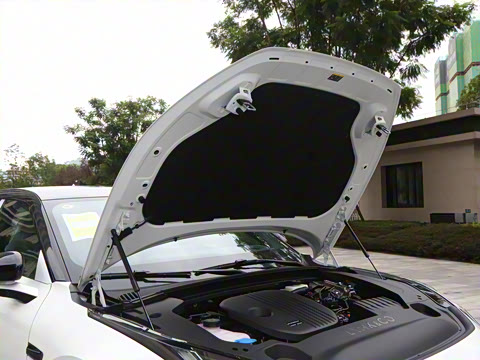 2026�� 126������ Max