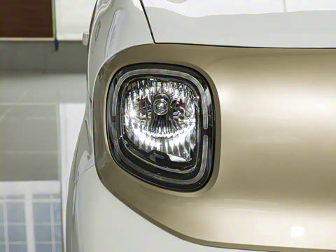 2026�� 222km ������