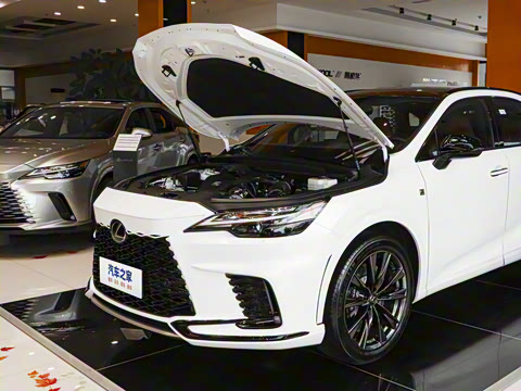 2026�� 500h ����F SPORT Performance