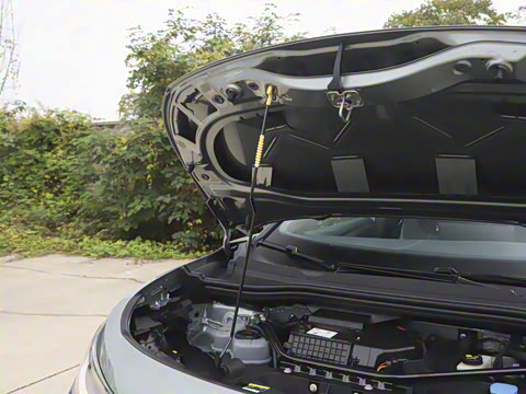 2026��  PURE+��