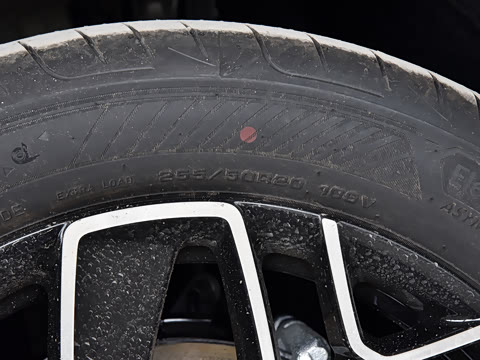 2026�� Elite �����