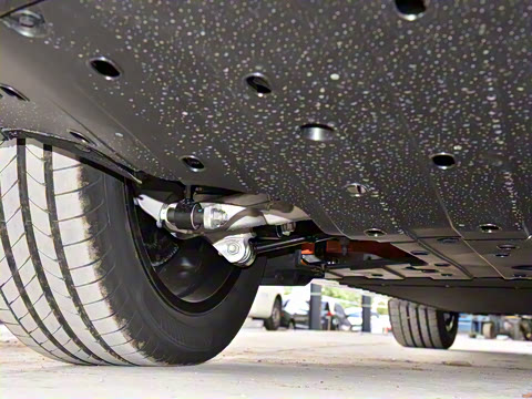 2026�� Elite �����