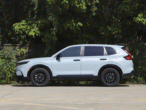 2026�� ȫ��30����ҫ�� 2.0L e:HEV ����������