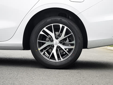 2027�� ���� 1.5L �ֶ�������