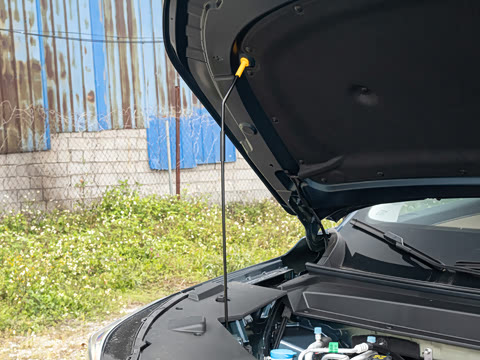 2026�� 650 ��׼��