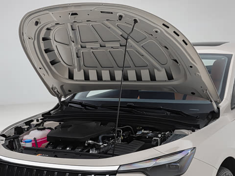 2026�� 1.5L �����